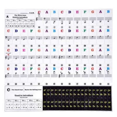 Klaviertasten Aufkleber Set für Tasten Keyboards Abnehmbar für Anfänger T21 M (Multicolor)