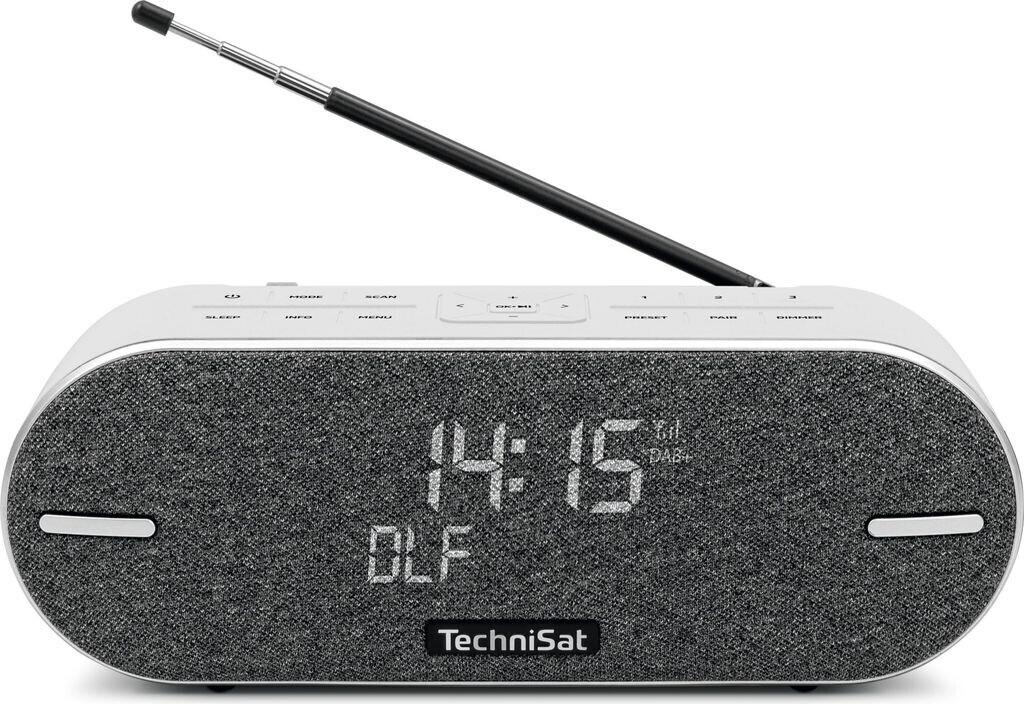 Портативное радио TechniSat DigitRadio BT 2 lichtgrau