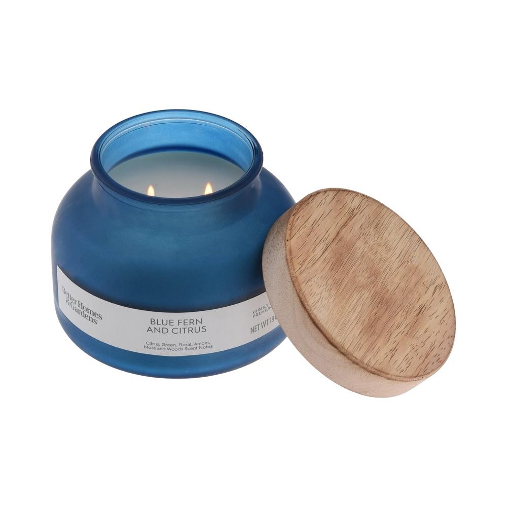 

Blue Fern Citrus Scented Candle 2 Wick Jar Candle 18oz Aromatic Fragrance Home Décor Paraffin Wax Long Burn Time 52 Hours United States