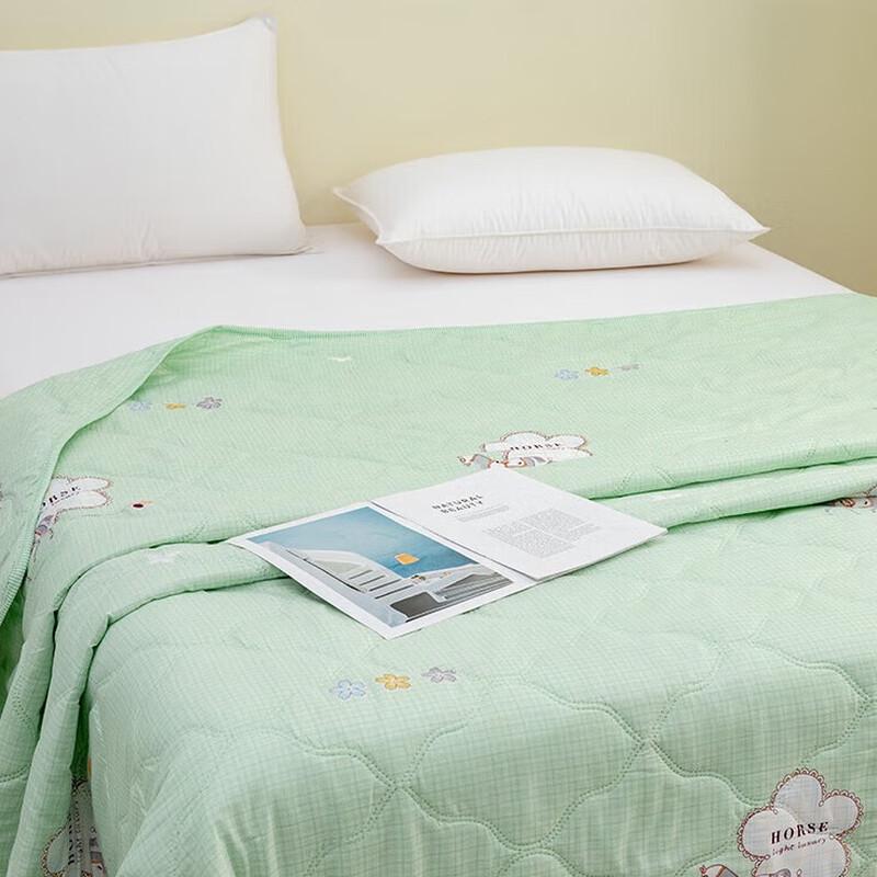 Huangqin Shijia Breathable Summer Comforter