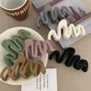 2023 Frosted Curve Design Hair Clip: Stylish Niche Shark Hairpin for Women