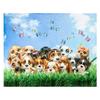 Australian Shepherd Sherpa Fleece Blanket Throw for Home Office Travel Couch Sofa Warm Cozy Lightweight Fleece Bed Blanket Gift
