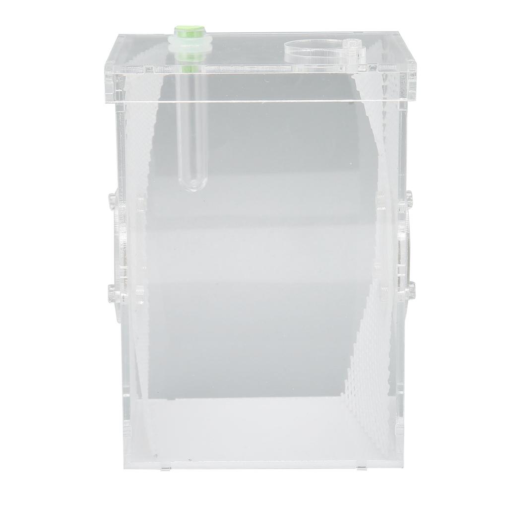Reptile Insect Enclosure Tank Mini Acrylic High Transparency Moisturizing Reptile Insect Breeding