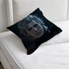 Astarion BBaldurs GGate  Decorative Square Pillow Cover Soft  Comfortable Pillow Case Sofa Bed Home Decoration