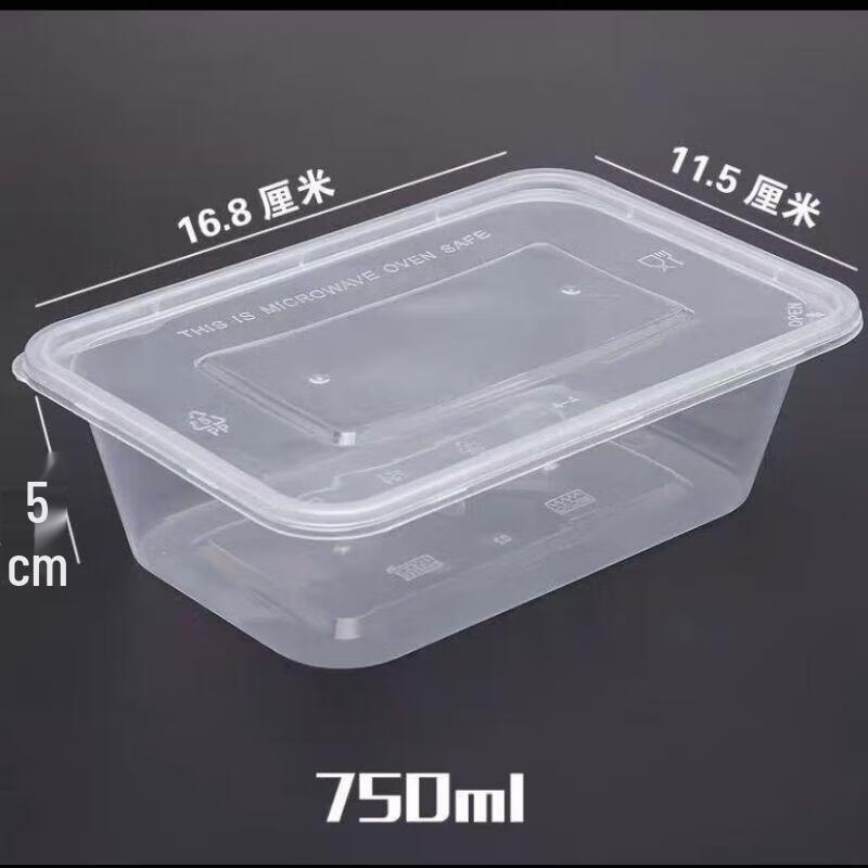 JingJingRS Disposable Transparent Food Container