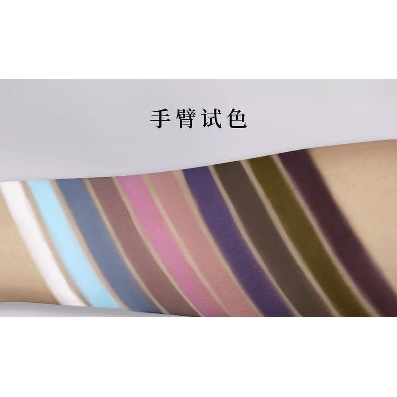 CHOIZ BEAUTY - 10-Farben Lidschattenpalette - Kalter Schmetterling