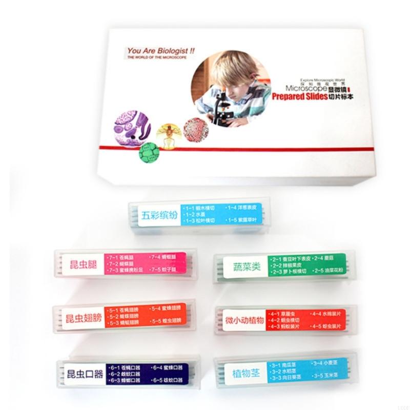 35PCS Microscope Glass Slides Set Seven Biological Specimens for Science Class