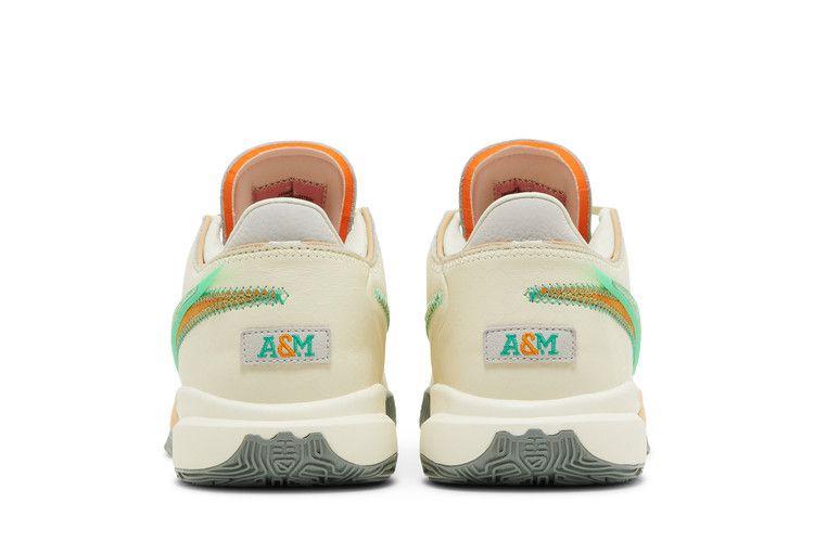 Florida A&M University x A.P.B. x Nike LeBron 20 'From Tally To The Wo