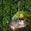 Splash-Proof Bird Food Holder Stainless Steel Vegetable Skewer Parrot Feeder  Pet Container