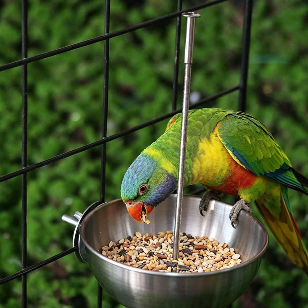 Splash-Proof Bird Food Holder Stainless Steel Vegetable Skewer Parrot Feeder Pet Container