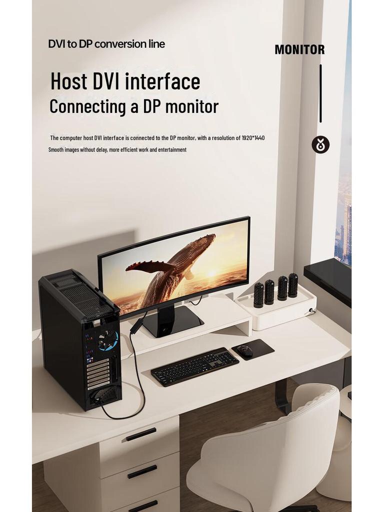 Biaz DVI To DisplayPort Male-to-Male HD Adapter for Computer To Projector Connection