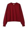 Silver Fox Velvet Women's 450g Heavyweight Hooded Sweatshirt - Short, Trendy Drop Shoulder Pullover for Autumn/Winter 