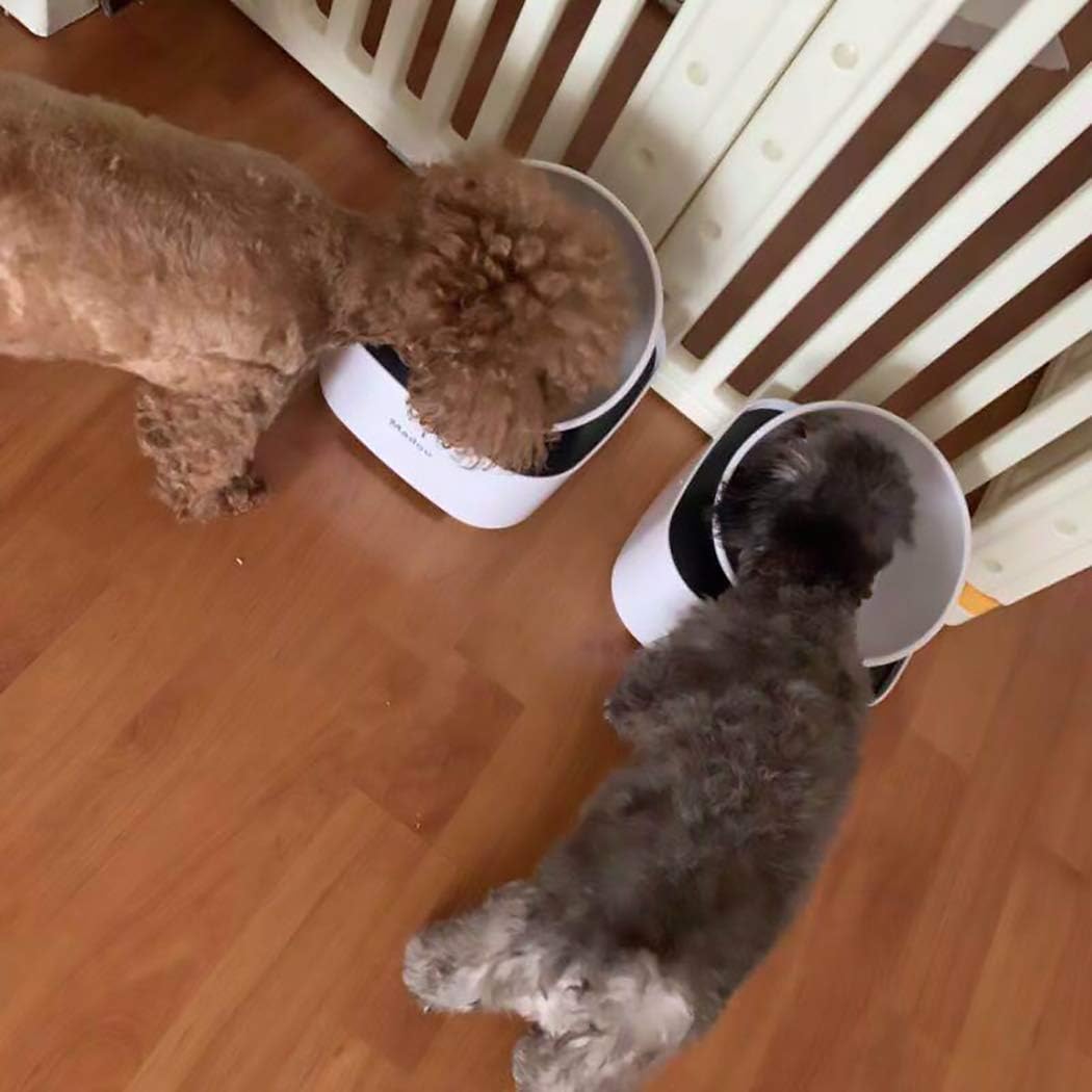 Миска для французского бульдога с контейнерами для хранения еды, приподнятая миска для собаки и кошки, нескользящая, наклонная миска для собаки и кошки, белая