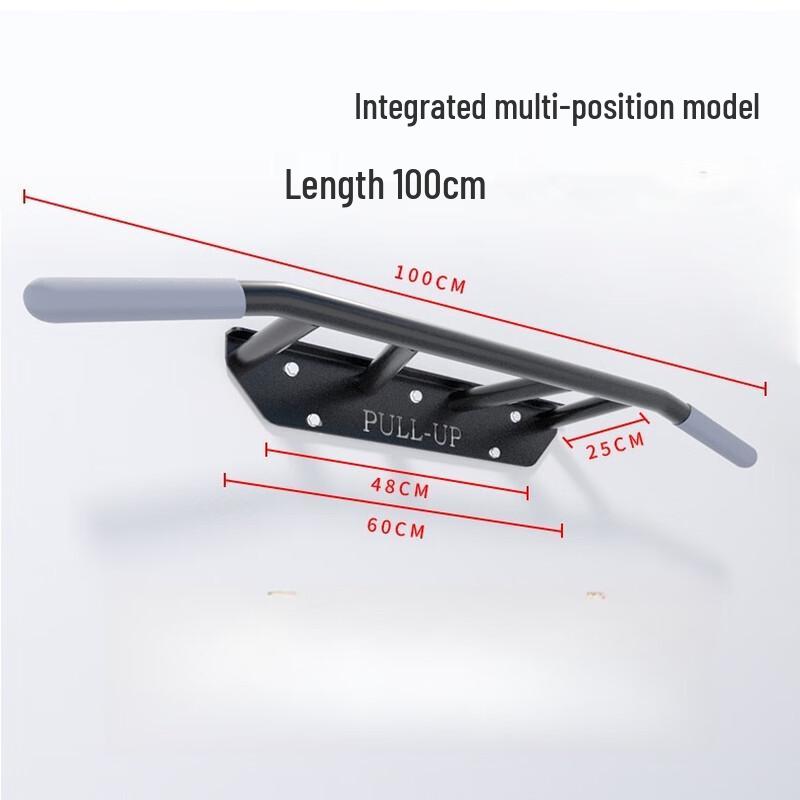 Longchan Wall-Mounted Pull-Up Bar