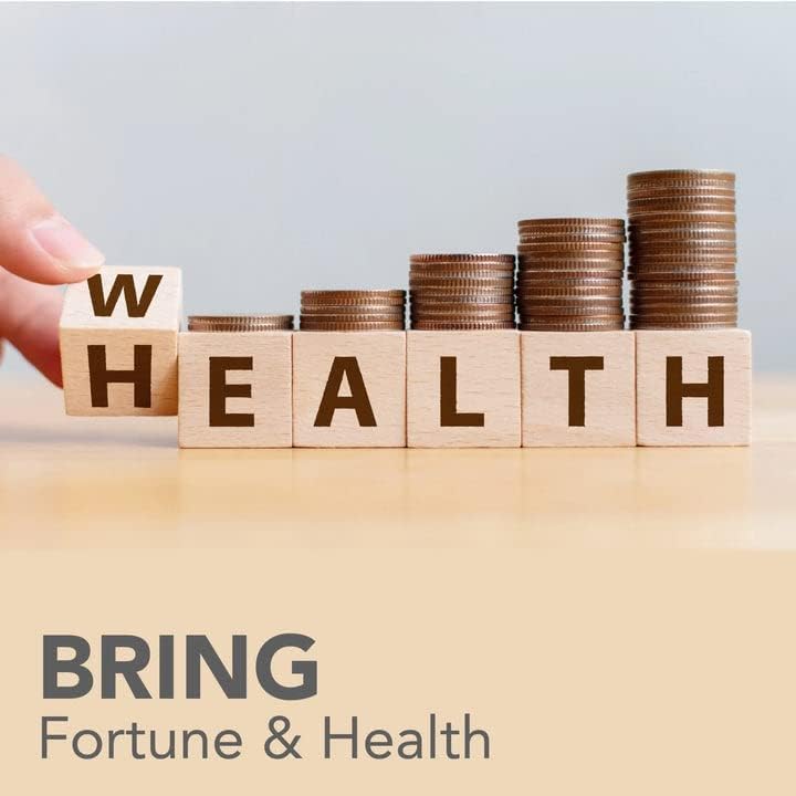 Zinnober Feng Shui Armband – Reichtum Schutz Amulett, Handgefertigtes Glücksbringendes Rotes Perlenarmband