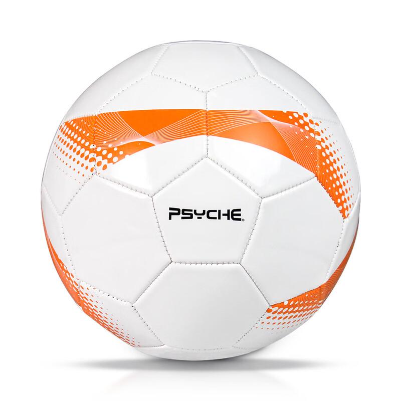 PSYCHE Size 5 Machine-Stitched PVC Football