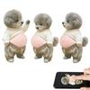 2/3Pcs 3D Soft Teddy Dog Belly Sticker Ultra-soft Silicone Car Anti-collision Sticker Beautiful Stress Relief Home Sticker Decor