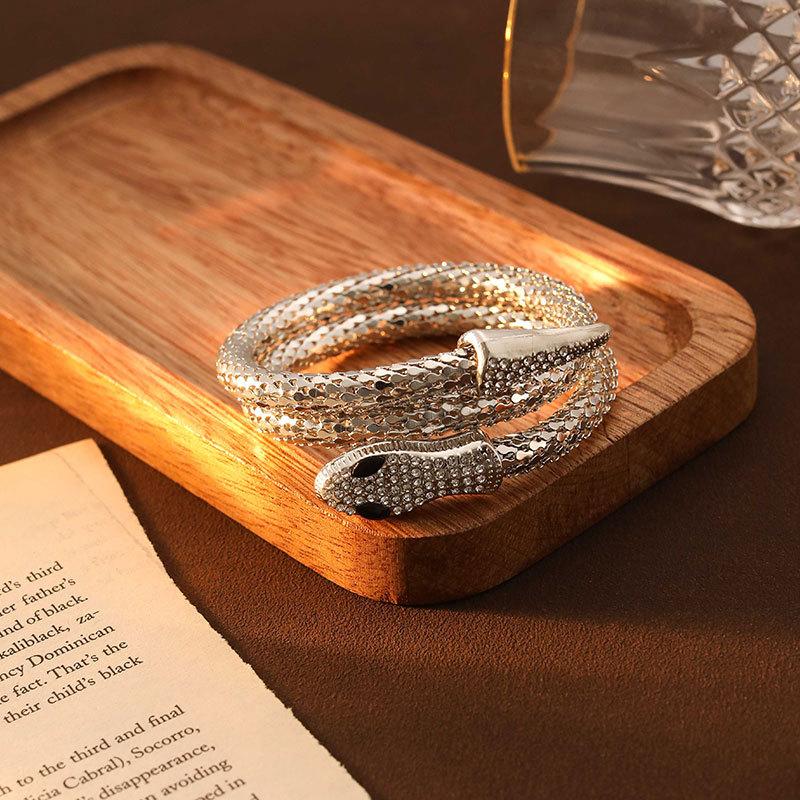 Personalized retro snake necklace bracelet with diamonds magnetic punk collar bracelet necklace necklace jewelry