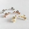 Fashionable Star Cold Style Earrings, Simple And Versatile Earrings, Women'S Personalized Exquisite Earrings