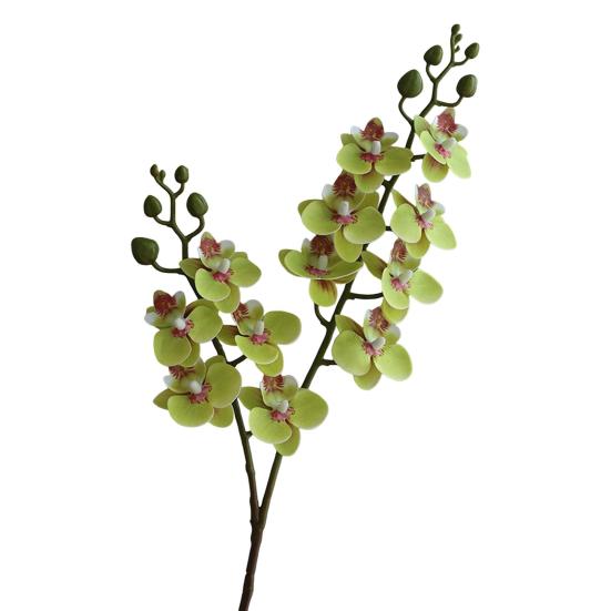 Artificial Moth Orchids 2 Fork Realistic Fake Silk Flower Wedding Party Home Office Table Centerpiece Faux Phalaenopsis Floral Branch Decoration