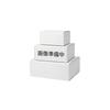 Sharpening Stone with Base, Coarse Grit #220 T-1 (Coarse Stone) 180x62xH18mm (Stone Only)