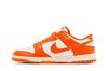 Nike Dunk Low Syracuse Pale Ivory