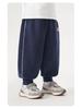 Boys' Casual Sweatpants - Trendy Spring & Autumn Styles for Kids and Toddlers