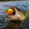 Fishing, Small Hard Crankbait, Mandarin Fish Pattern Plastic Body for Fishing