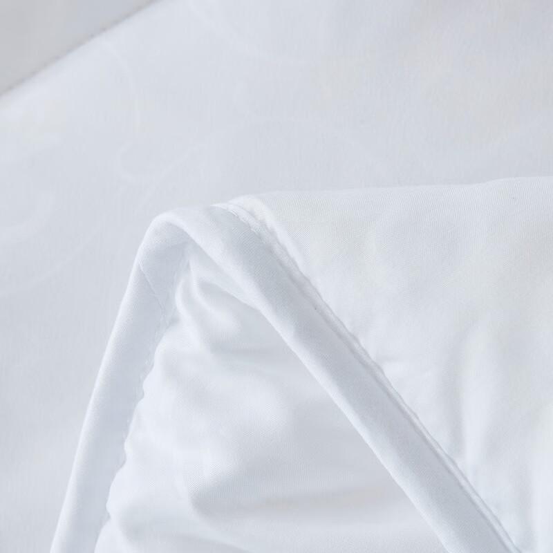 Luolai Qinnuan Australian Wool Quilt