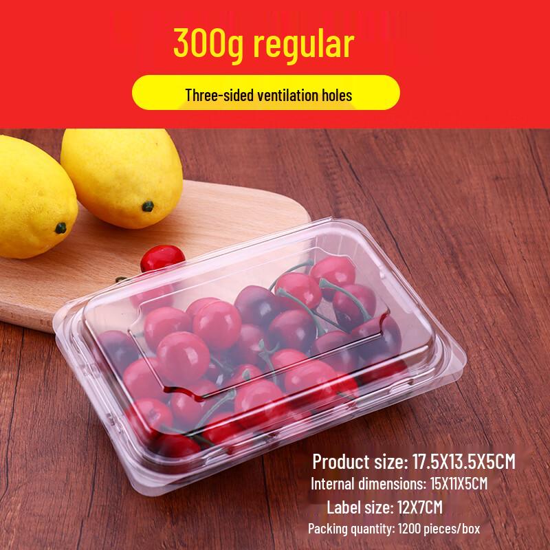 Shixun Disposable Transparent Fruit Containers with Lids (100-Pack)
