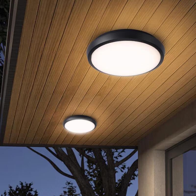ZIDENG Outdoor Waterproof LED Ceiling Light