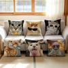 Cat Funny Pillow Cushion Cover Pillowcase Living Room Sofa Home decorative pillowcase