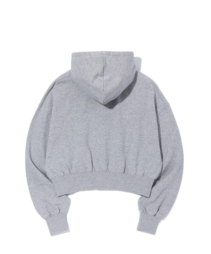 Critic Crop Wormhole Logo Hoodie Zip-Up Melange Gray