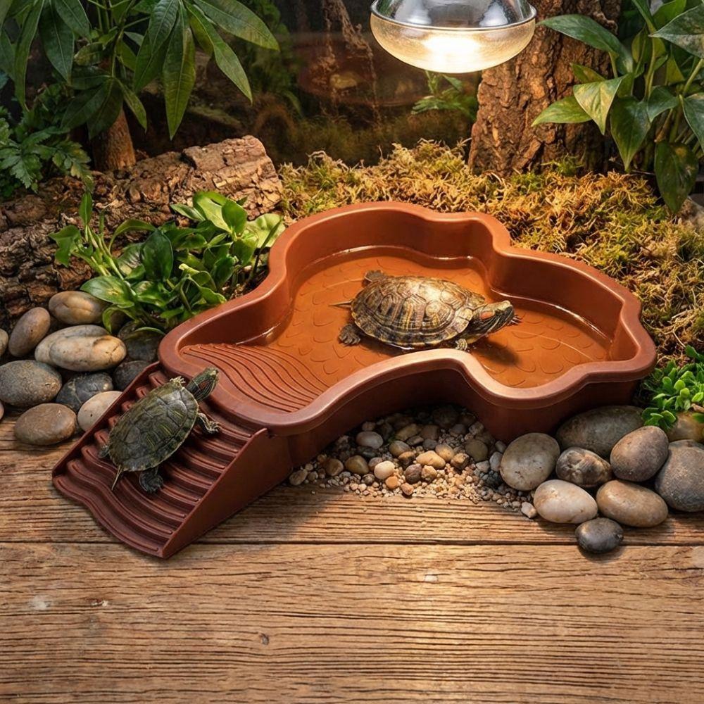 Mit Rampe Schildkröte Badebecken Kunststoff Schildkröte Wasserbecken Reptilien Wasserschale Alle Jahreszeiten