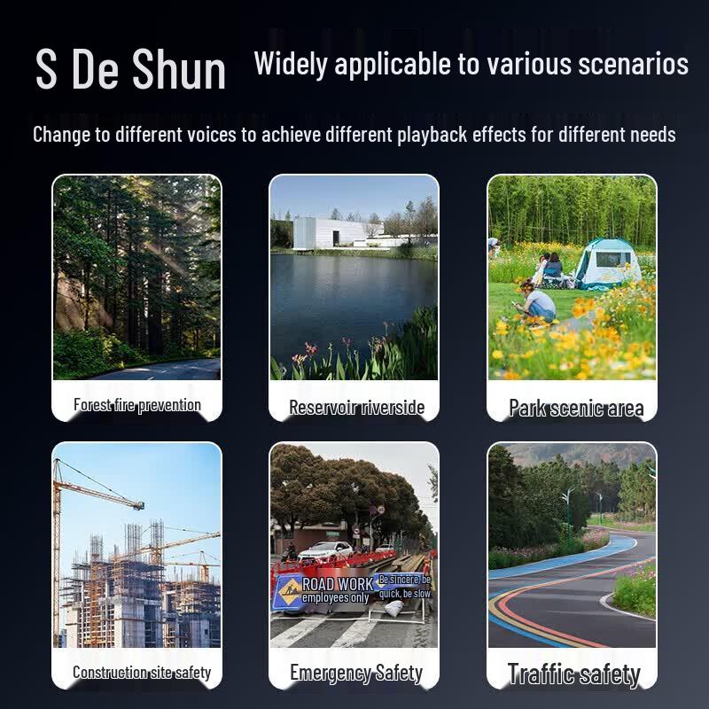 DESHUN 929LT Outdoor Infrared Voice Announcer (CN version)
