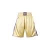 Mitchell & Ness NBA Authentic Hall Of Fame Los Angeles Lakers Kobe Bryant 1996-2016 Shorts 'Gold Purple' Men's ASHRCP20025-LALGOLD96KBR