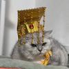 Cat Emperor Crown Headband - Adjustable Knitted Pet Costume Accessory Cats Fun Historical Theme Hat