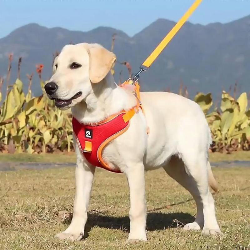 Cat Dog Traction Rope Breathable Vest Type Anti-break Free Pet Chest Strap
