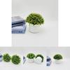 Artificial Starry Sky Hemisphere Plant Pot With Plastic Material For Wedding Decor And Indoor Garden