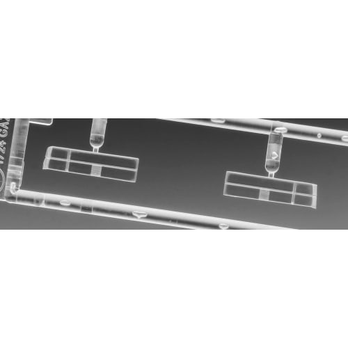 Hasegawa 1/24 Scale Nissan Gazelle (S110) Late Model HT Turbo XE (1981) Plastic Model Kit 20771 (Car)