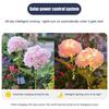 Fairy Hydrangea Lights, Solar Garden Stake Lights, Waterproof LED Flower Light, Colorful Outdoor Hydrangea Lamp for for Patio Lawn Pathway Decor