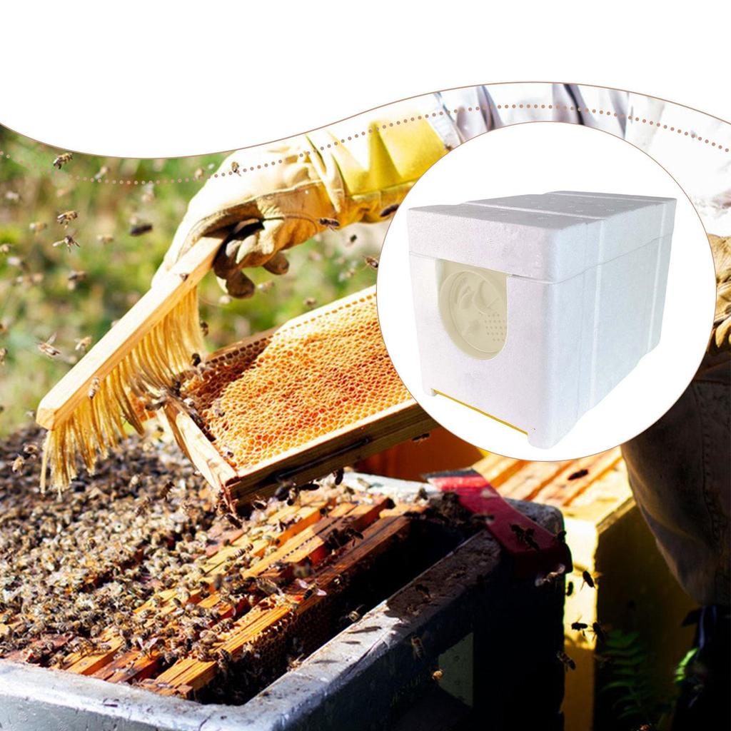 Bee Breeding Box, Mating with 4-frame Box for NUC