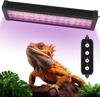 Reptile – Terarii pentru reptile