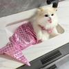 Cane Gatto Animale Aspetto Sirena Divertente Costume da Bagno Indossare Bikini Costume Accessori Coda di Sirena Vestiti