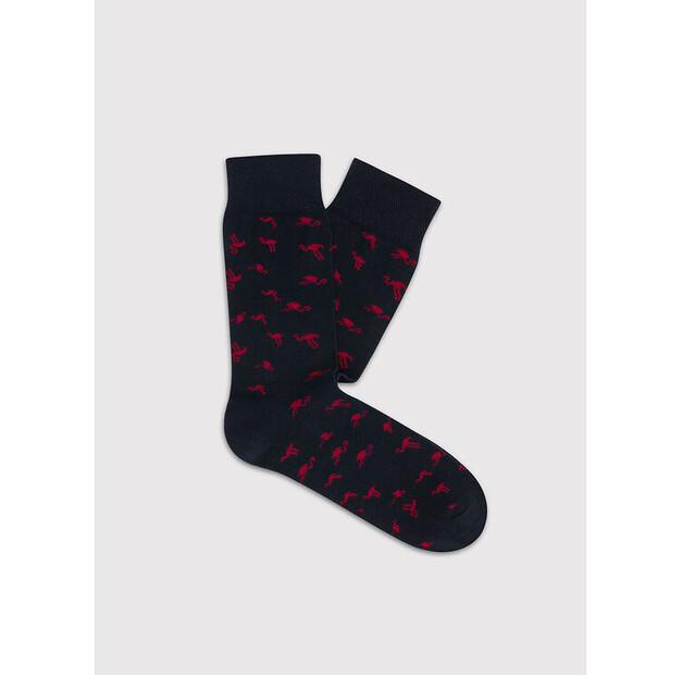 Носки Pako Lorente P000B-SX-524