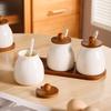 Moisture-Proof Ceramics Seasoning Jars with Spoon Condiment Jar Spice Containers  Kitchen