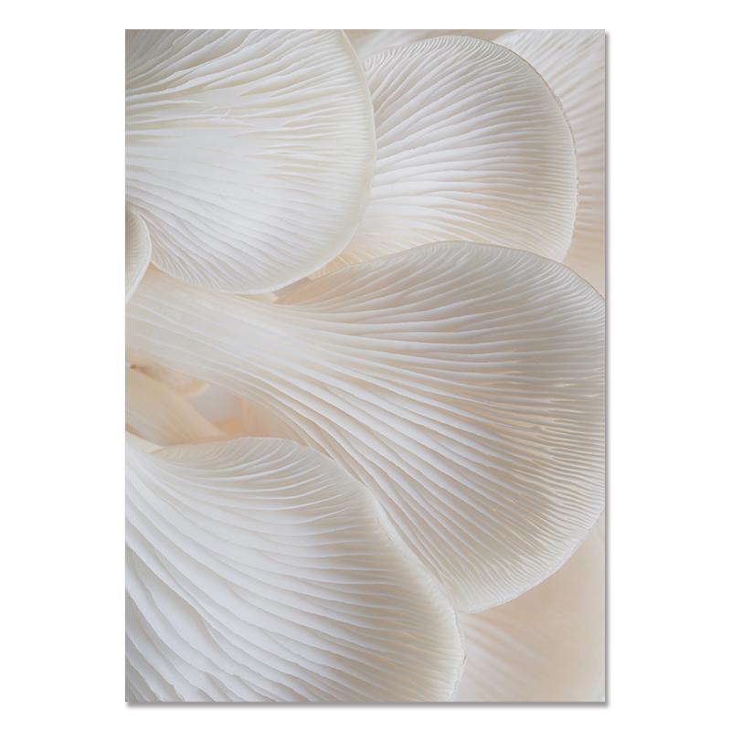 Reed Wild Plant Sand Nordic Posters And Prints Wall Art Canvas Painting Wall Pictures For Living Room Scandinavian Home Decor