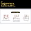 Butt Lifter Women Body Shaper High Waist Shapewear Panties Waist Trainer  Daily Wear