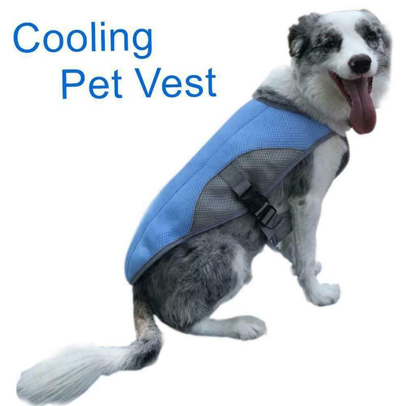 Gilet rafraîchissant d'été pour chien, veste réfléchissante pour animaux de compagnie, manteau respirant, vêtements pour chiots