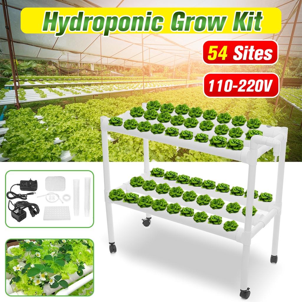 110-220V 54 Holes Hydroponic Piping Site Grow Kit Deep Water Culture Planting Box Gardening System Nursery Pot Hydroponic Rack